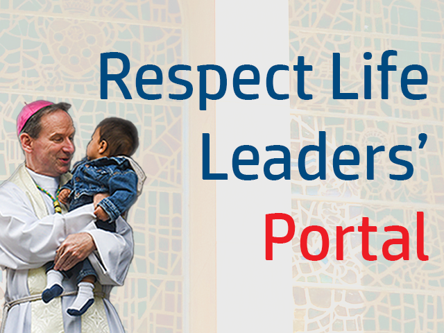 respect life portal_featured content graphic